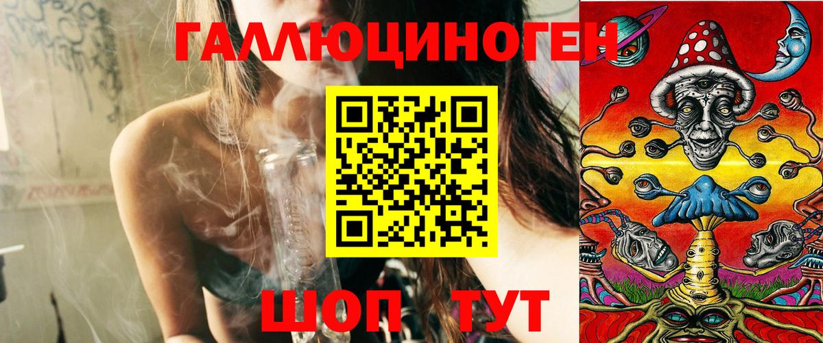 где найти наркотики  Псилоцибиновые грибы мухоморы  Псилоцибиновые грибы прущие грибы  Вход с VPN  Майкоп 